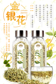 金银花宣传海报
