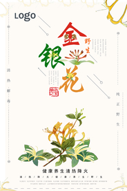 清新简约金银花宣传促销海报