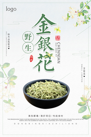 小清新简约野生金银花药品海报