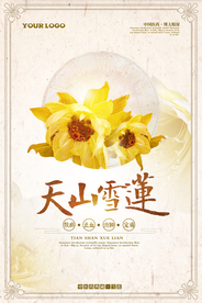 大气雪莲中草药海报