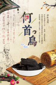 中国风中医药材海报