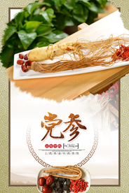 中国风党参海报