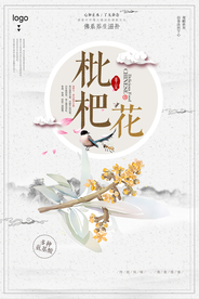 时尚简洁枇杷花中药海报