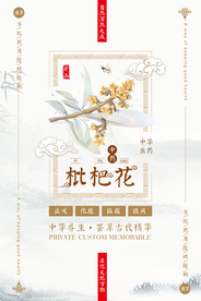 枇杷花中医养生海报