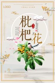 中国风枇杷花海报