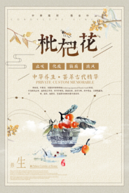 中国风简约枇杷花中药海报