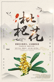 简洁中国风枇杷花海报