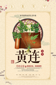 黄色中国风简洁黄连中药海报