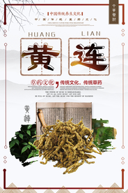 黄色中国风简洁黄连中药海报