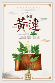 中国风黄连中医药材宣传海报