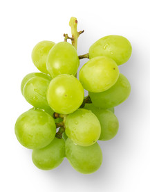 葡萄