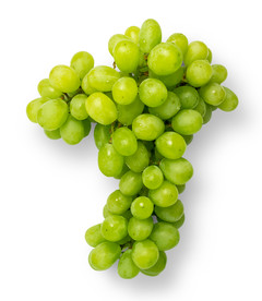 葡萄
