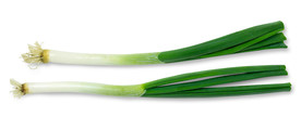 大葱