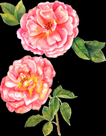 水彩花