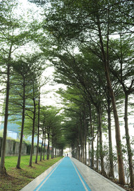 跑道