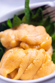 海胆美食食材背景海报素材