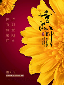 重阳展板