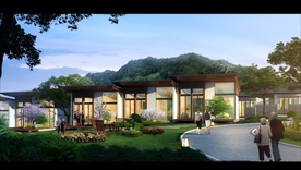 乡村改造建设道路街道景观