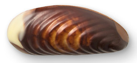 扇贝巧克力