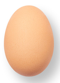 鸡蛋