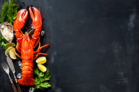 波士顿龙虾海鲜食材背景海报素材