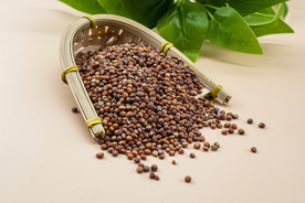 豆子烘焙食材背景海报素材