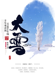 大雪海报