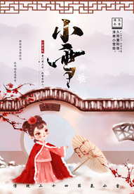 小雪海报