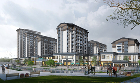 乡村改造建设道路街道景观