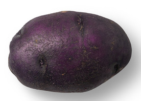 紫薯