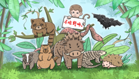 拒绝野味公益卡通背景海报素材
