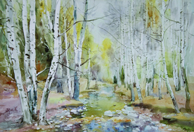 水彩白桦林