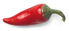 红辣椒