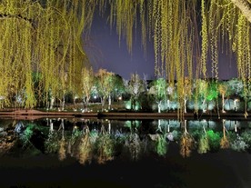 古城河夜景灯光