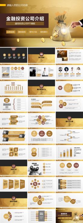 金融投资公司介绍（仅供交流）