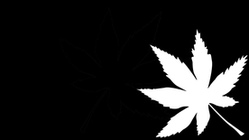 拍摄素材