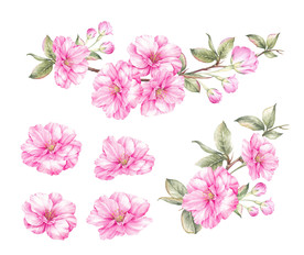 花 桃花
