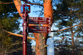 大城市建筑风景摄影