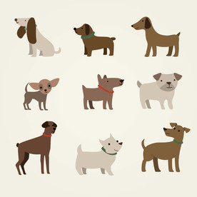 狗 DOG 动物 卡通