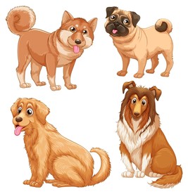 狗 DOG 动物 卡通