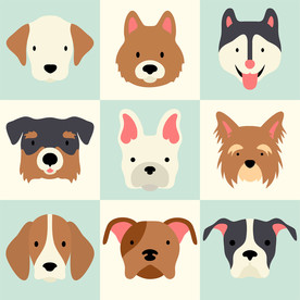 狗 DOG 动物 卡通