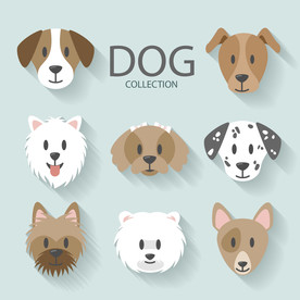 狗 DOG 动物 卡通