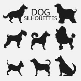 狗 DOG 动物 卡通