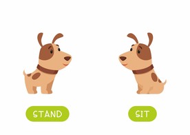 狗 DOG 动物 卡通