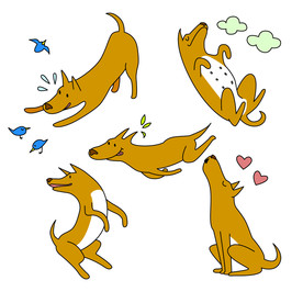 狗 DOG 动物 卡通