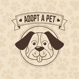 狗 DOG 动物 卡通