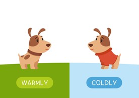 狗 DOG 动物 卡通