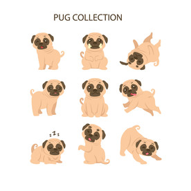 狗 DOG 动物 卡通