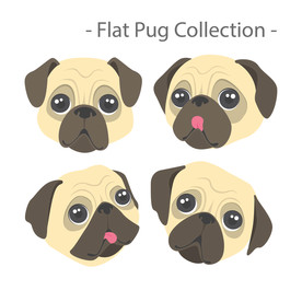 狗 DOG 动物 卡通