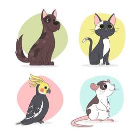 狗 DOG 动物 卡通